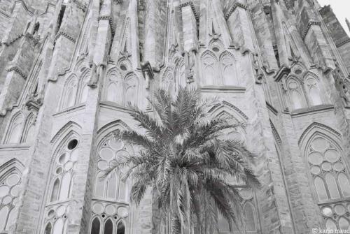 La Sagrada Familia 12