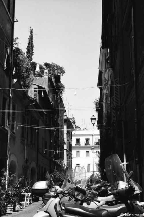 Trastevere 2